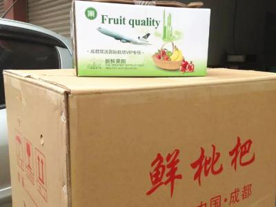  新鲜枇杷航空快递
