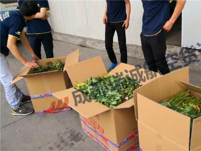  成都至北京鲜花航空托运